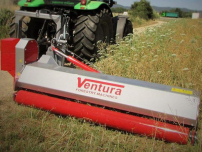 Ventura