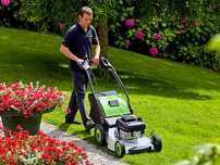 Etesia