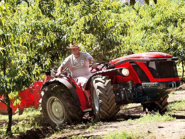 Traktor Antonio Carraro TGF 7800 S