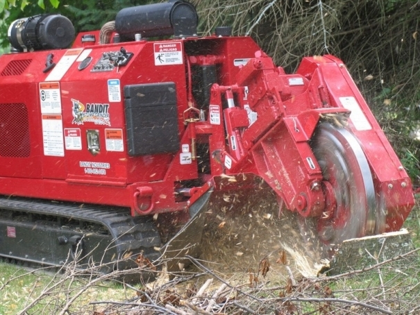 Pařezová fréza Bandit Model 2900