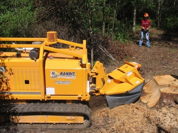 Pařezová fréza Bandit Model 3400
