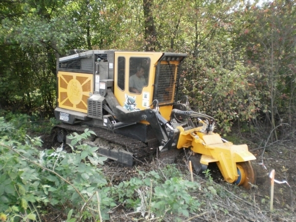 Lesní fréza Bandit Model 3500