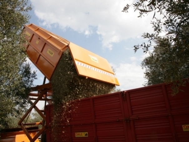 Sběrací sadový a viniční mulčovač Berti PICKER KARGO