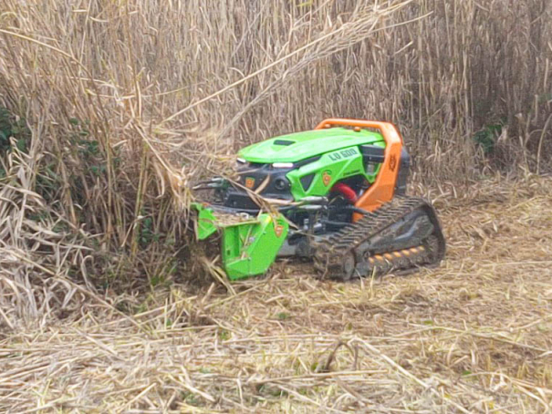 Pásový nosič nářadí Green Climber LV600