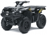 Brute Force 750 4x4i EPS