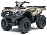 Brute Force 750 4x4i EPS Camo