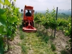 Předváděcí akce Návrat ke kořenům - Přítluky 2011